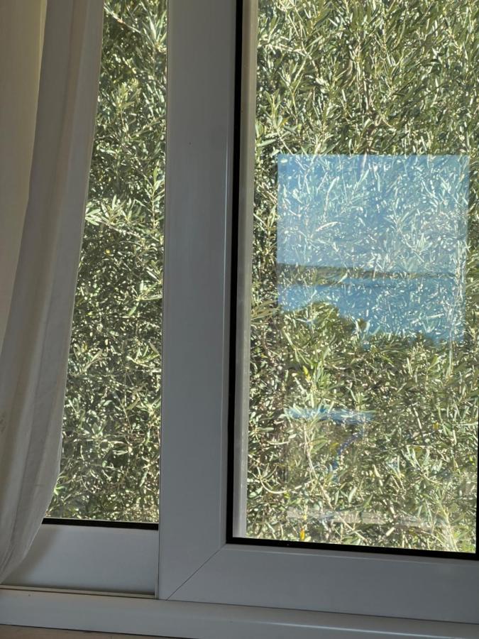 Alexandra'S Studios Sunset View Argostoli  Exterior photo